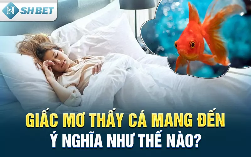 Giấc mơ thấy cá mang đến ý nghĩa như thế nào?