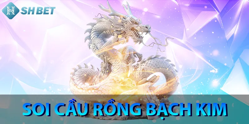 soi cầu rồng bạch kim