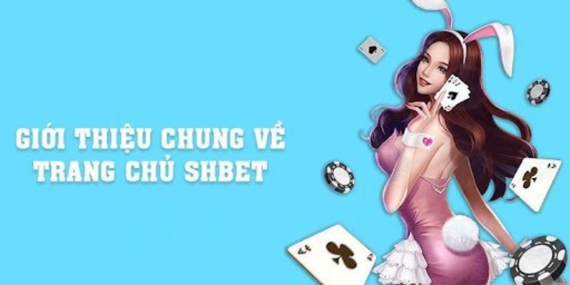 SHBET là sân chơi cá cược đẳng cấp hàng đầu châu Á năm 2024